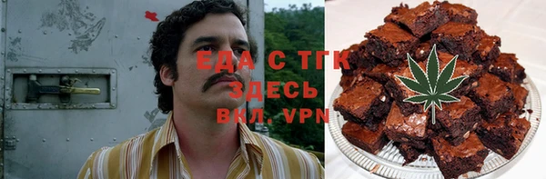 индика Бронницы