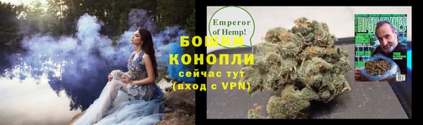 индика Бронницы