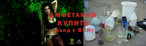 индика Бронницы