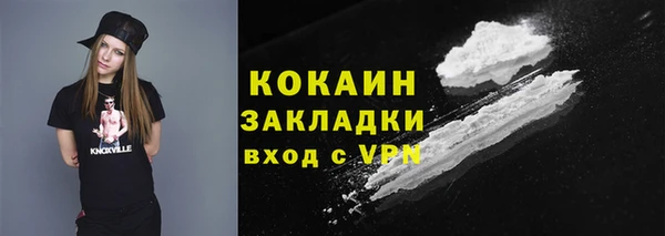 индика Бронницы