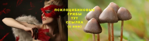 индика Бронницы