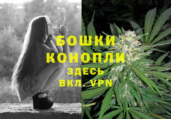 дживик Бугульма