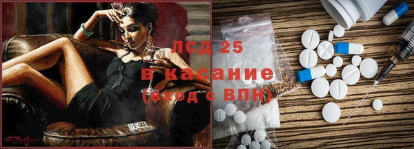 индика Бронницы