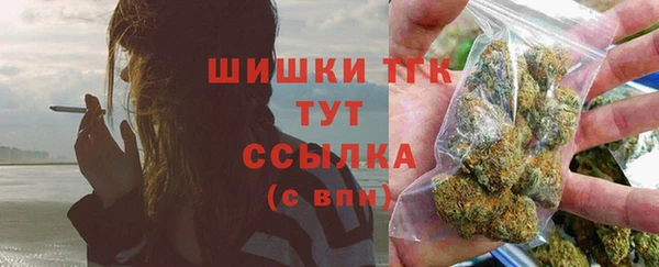 индика Бронницы