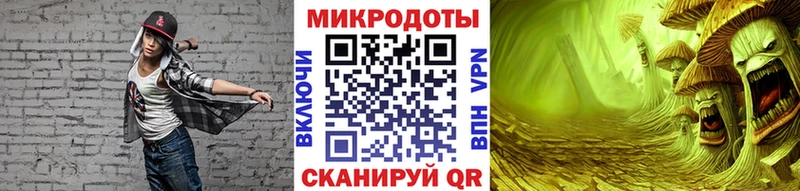 Галлюциногенные грибы Psilocybine cubensis  Светогорск 
